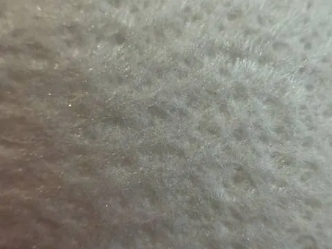 Needlefelt surface, close