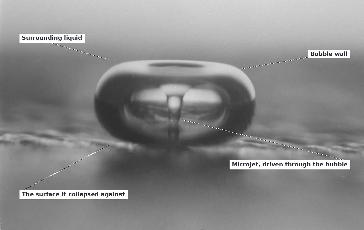 High-speed photograph of a cavitation bubble collapsing against a solid surface, the microjet visible driving through the centre of the bubble