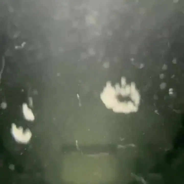 Cavitation in an ultrasonic bath